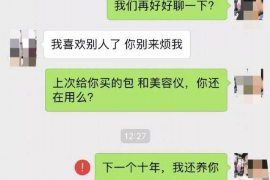 普陀区为什么选择专业追讨公司来处理您的债务纠纷？